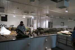 20201120_165154 null