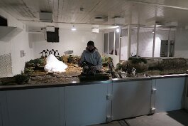 20201120_165157 null