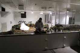 20201120_165208 null