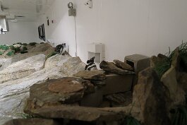 20201120_165733 null