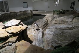 20201120_165735 null