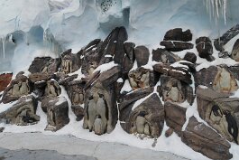 20201121_130253 null