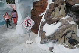 20201121_130302 null