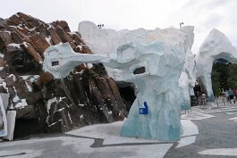 20201121_130336 null