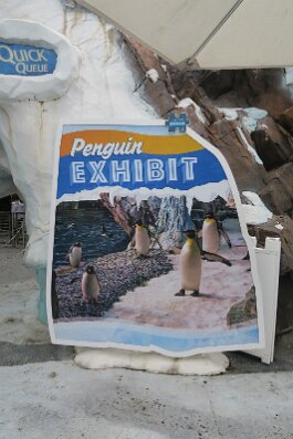 20201121_130353 null