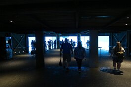 20201121_122642 null