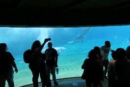20201121_122709 null