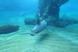 20201121_122850 null