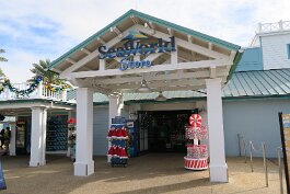 20201120_095201 null