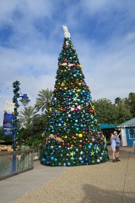 20201120_095215 null