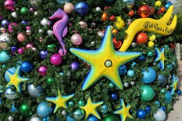 20201120_095326 null