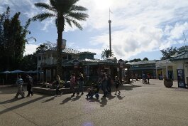 20201120_095424 null