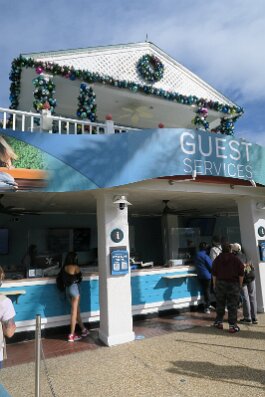 20201120_095457 null