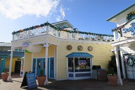 20201120_100808 null