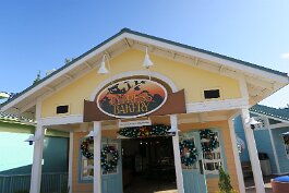 20201120_100812 null