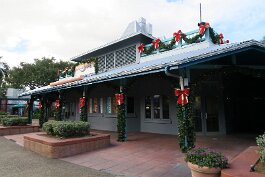 20201120_135411 null