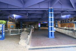 20201120_114457 null