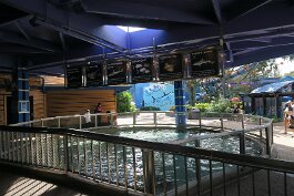 20201120_114506 null