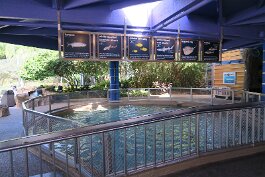 20201120_114509 null