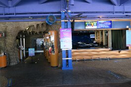 20201120_114515 null