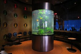 20201120_114710 null