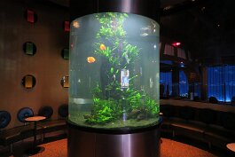 20201120_114717 null