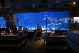 20201120_114731 null