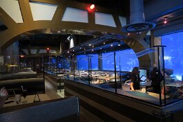 20201120_114733 null