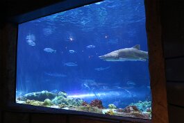 20201120_114751 null