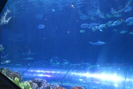 20201120_114801 null