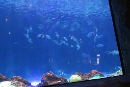 20201120_115000 null