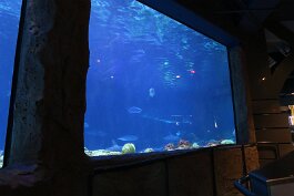 20201120_115002 null