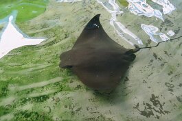 20201121_121450 null