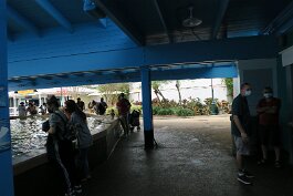 20201121_121629 null