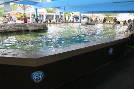 20201121_121648 null
