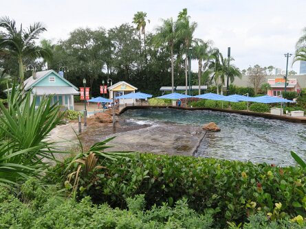 DolphinCove