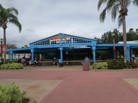 StingrayLagoon