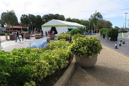 20201120_094454 null