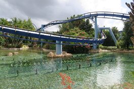 20201120_112814 null