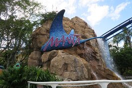 20201120_113022 null