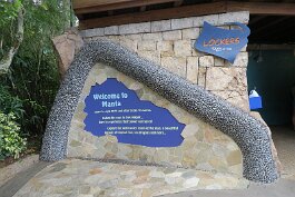 20201120_113043 null