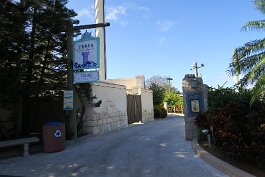 20201120_101154 null