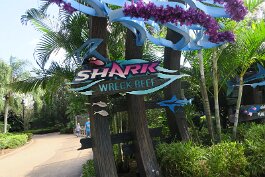 20201120_114411 null