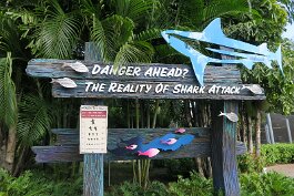 20201120_114433 null