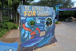 20201120_114439 null