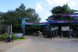 20201120_114442 null