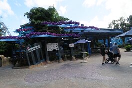 20201120_114443 null