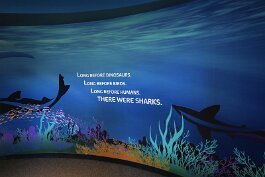 20201120_123249 null