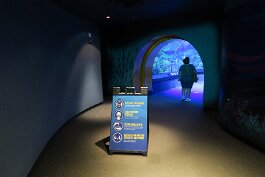 20201120_123255 null