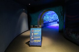 20201120_123259 null